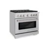 ZLINE 36 In. 5.2 Cu. Ft. Paramount Gas Range With Convection Gas Oven In Stainless Steel With 6 Brass Burners (SGR-BR-36)(Zline 36 Paramount Gas Range Stainless Steel Brass Burners Sgr Br 36)